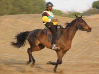 /international/2006Walvisbay/images/Final/thumbnails/final 043.jpg